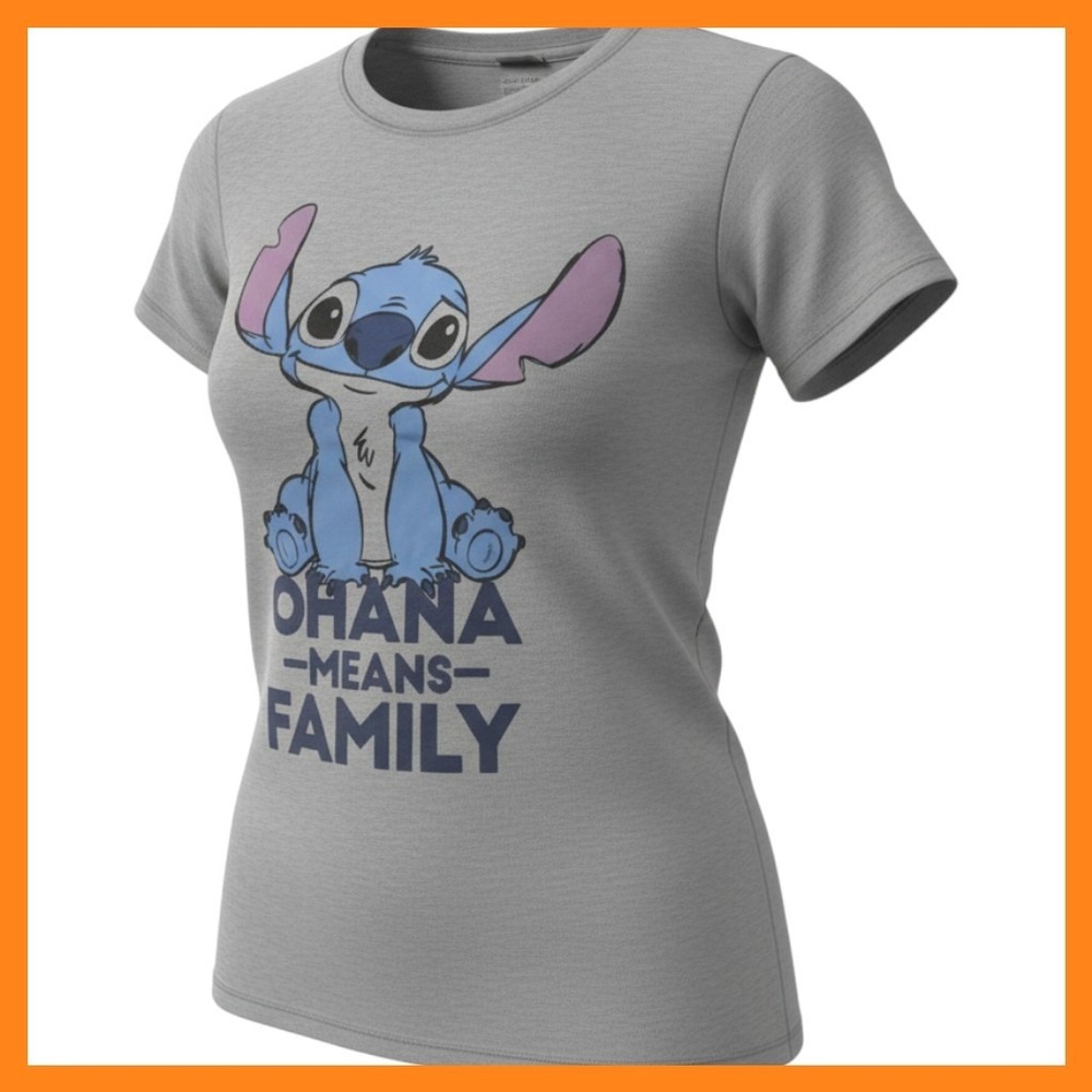 Disney Lilo & Stitch Ohana Means Family Graphic Tee Heather Gray Small